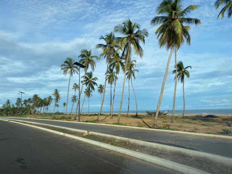 Benin costa spiaggia e palme